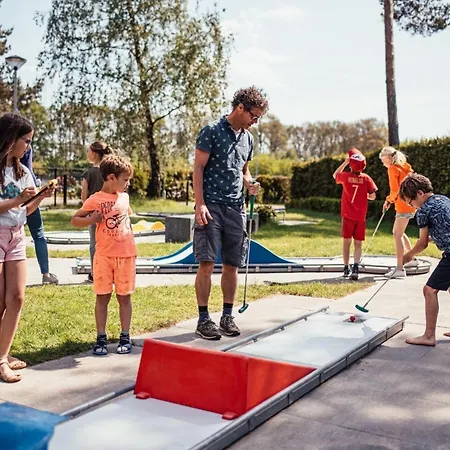 Chalet Timber-lodge *